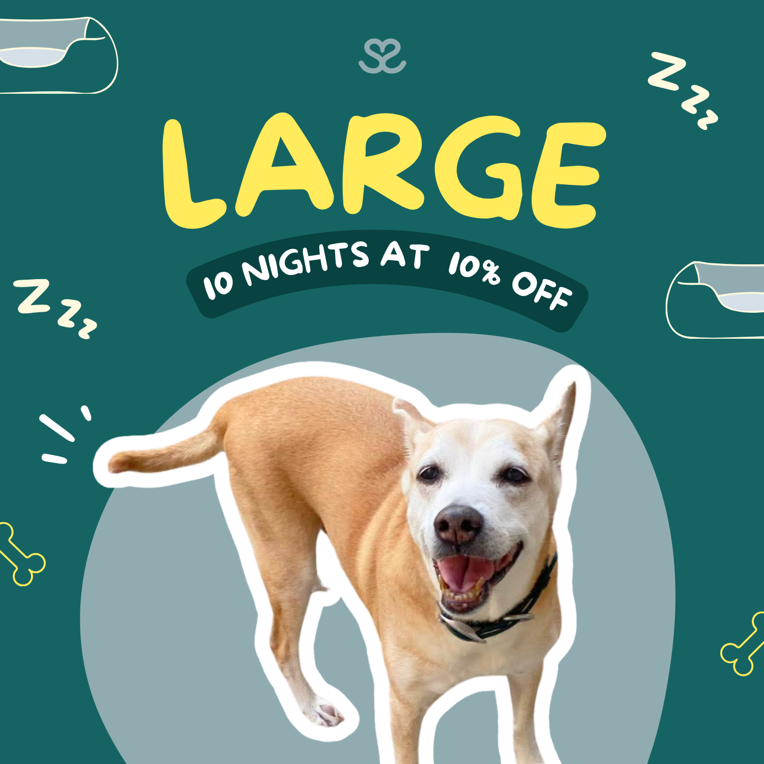 10-night Boarding Pass for Large Dogs