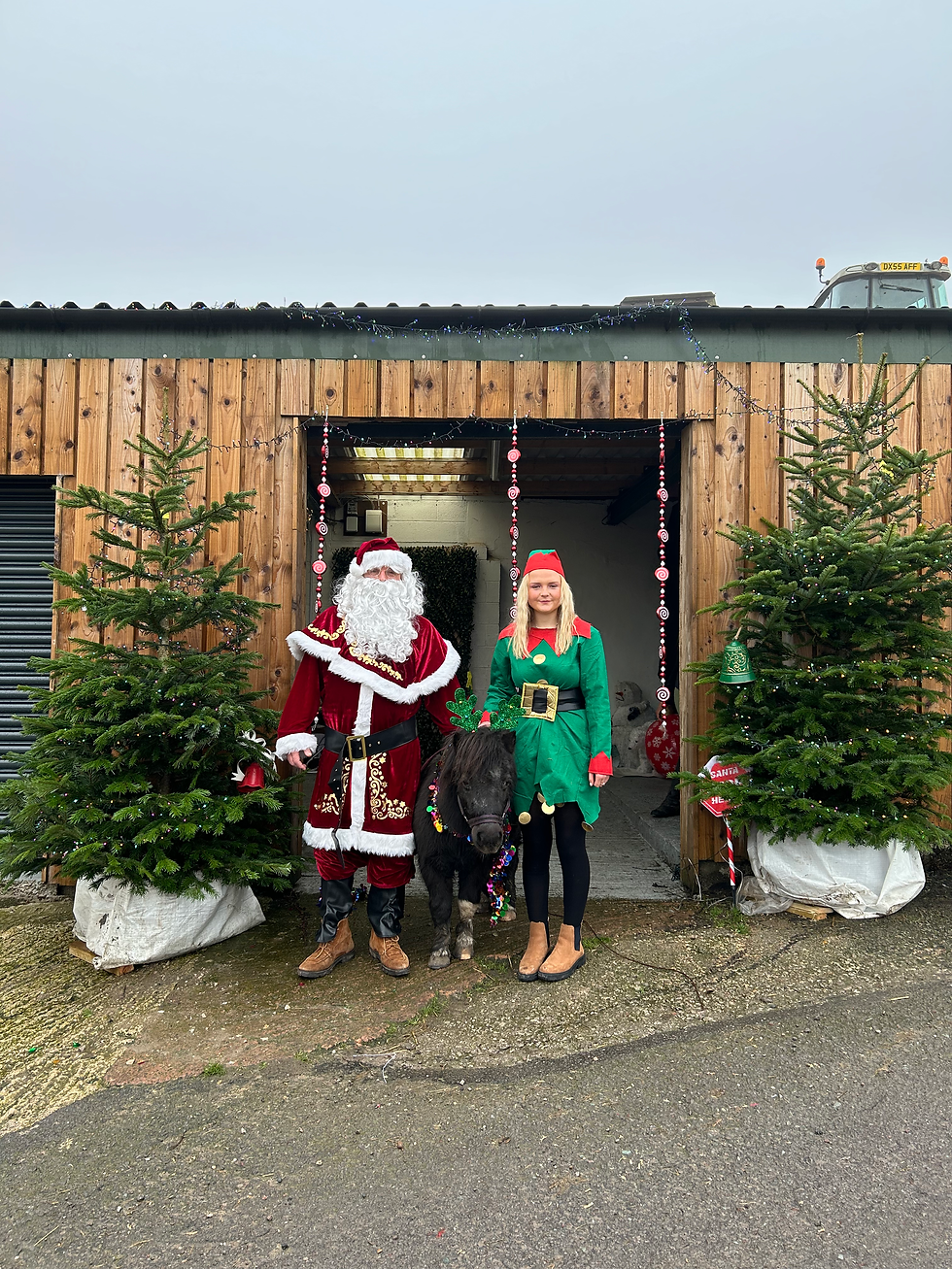 Farmer SANTA On The Rocks