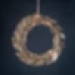 Laurus, Lorbeerkranz, Klatt Objects