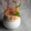Schale, Tcha, Klatt Objects,