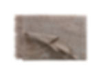 Kaschmirdecke, Kaschmirplaid, Sahara, Franz Barth,