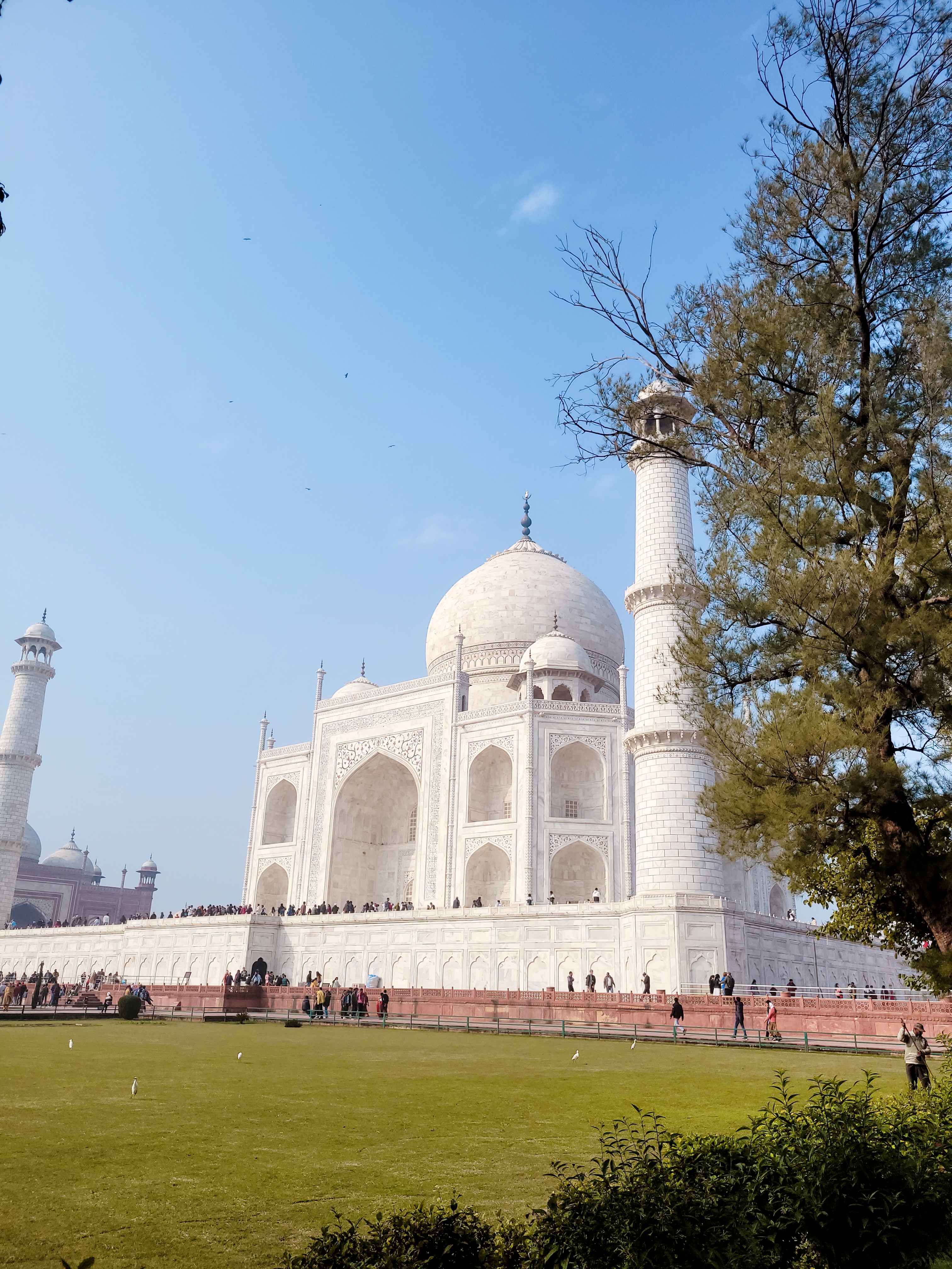 Peregrinación mística a India · 5