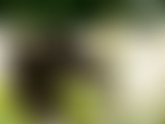 J52 - A l'Oasis, la vie continue