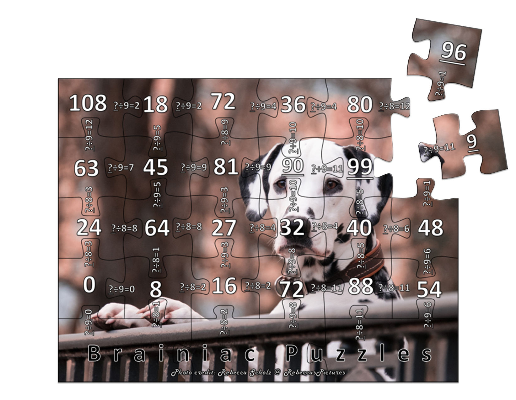 8&9 Division - Dalmatian Puzzle