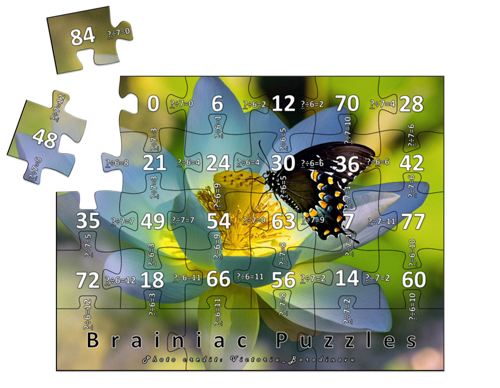 6&7 Division - Butterfly & Lotus Flower Puzzle