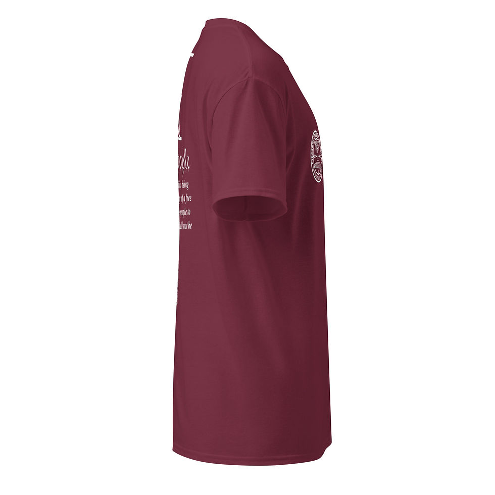 Thumbnail: 2A-AR-15 Custom Tee