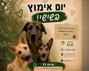 יום אימוץ בשישי