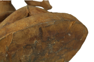 IMG_6364_cut.png