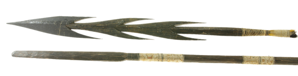 IMG_4924_cut.png