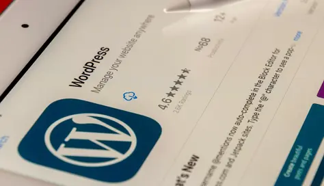 WordPress Alternative: 12 CMS im Vergleich
