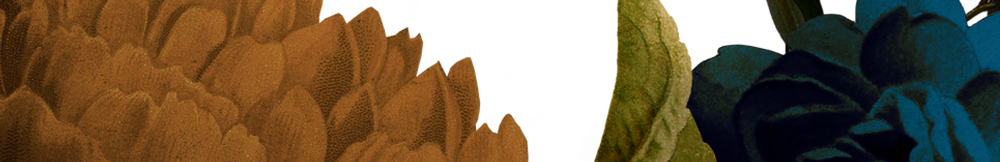botanical_group3.png