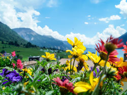 Ausblick vom Balkon b&b Erna