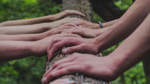 UK Mission: The Life Project