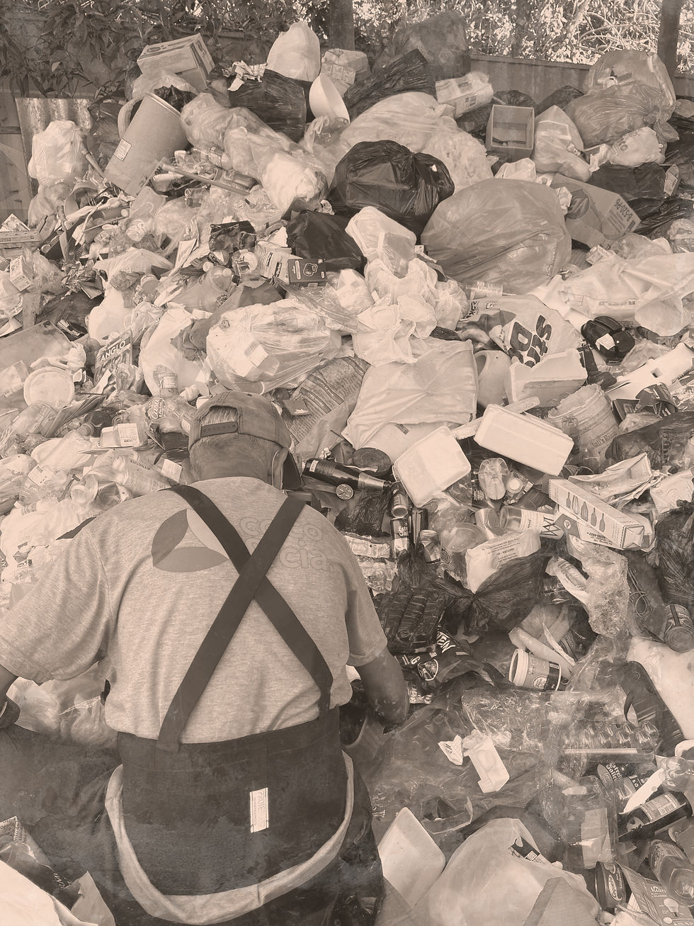Pessoa catando resíduos para reciclagem