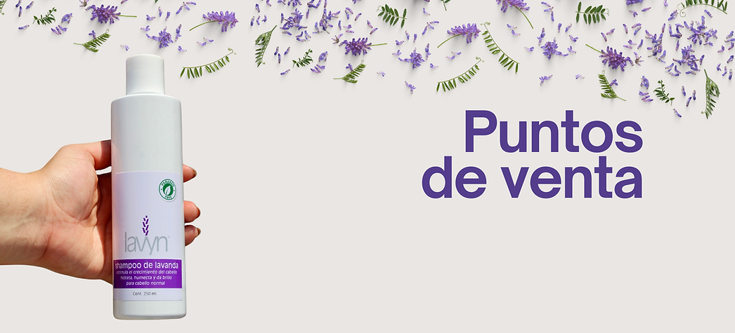 Conoce los puntos de venta en Queretaro, San Juan del Rio y Tequisquiapan donde puedes comprar los productos lavyn