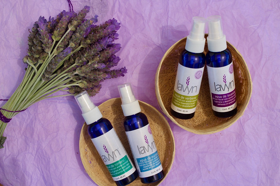 Miniatura: Cuatro botellas de 60ml azul cobalto con agua de romero, eucalipto, verbena y lavanda junto a flores de lavanda