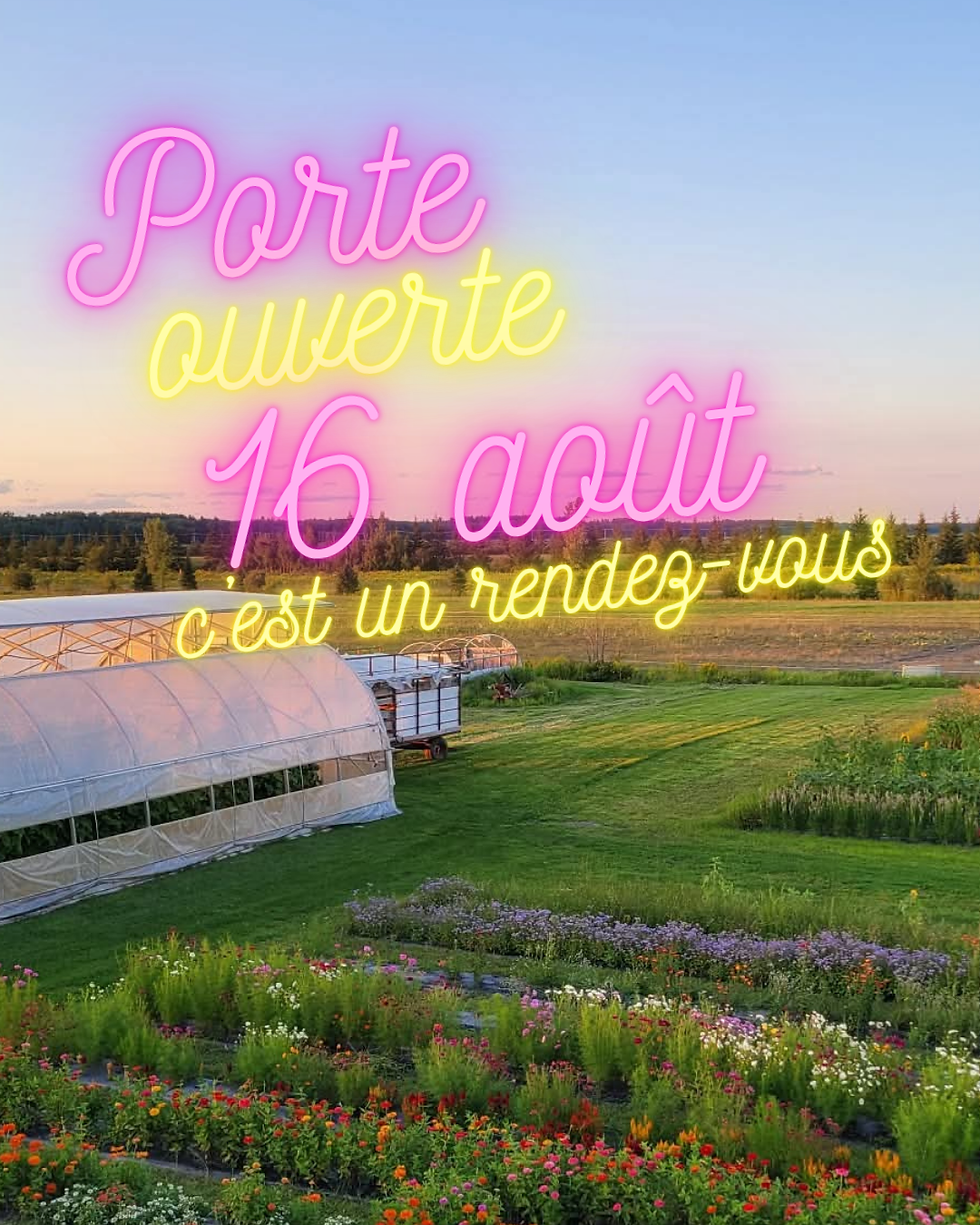 Infolettre #8 - Paniers de Légumes