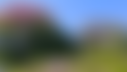 可愛い春のお客さま 2026.4.25