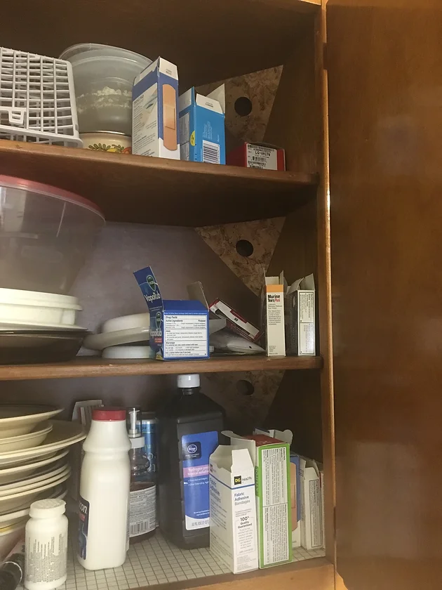 Get Rid Of Roaches Glue Traps