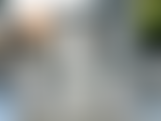 Lifeplus Daily BioBasics, MSM Plus and Proanthenols 100 supplements on a windowsill