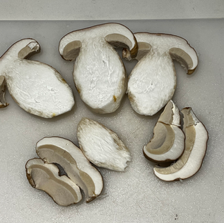 Freshly cut porcini slices on a white cutting board