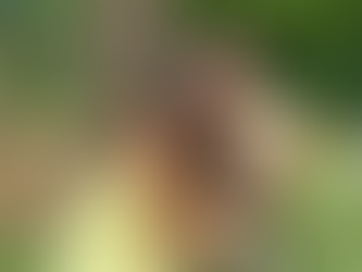 Caliente Salsa, Bachata, Kizomba, Zouk Student Spotlight - Sneha