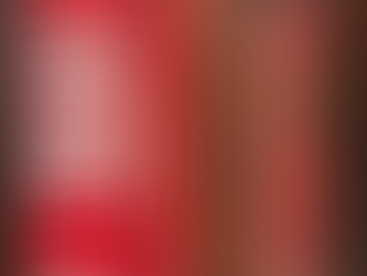 November Wrap Up - 2025