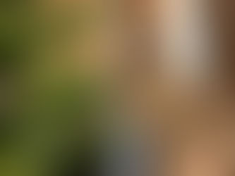 Festive Christmas Book Tag