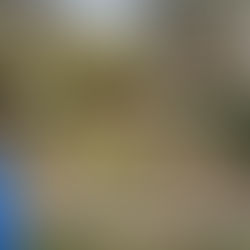 Großer Putztag an der Boni I