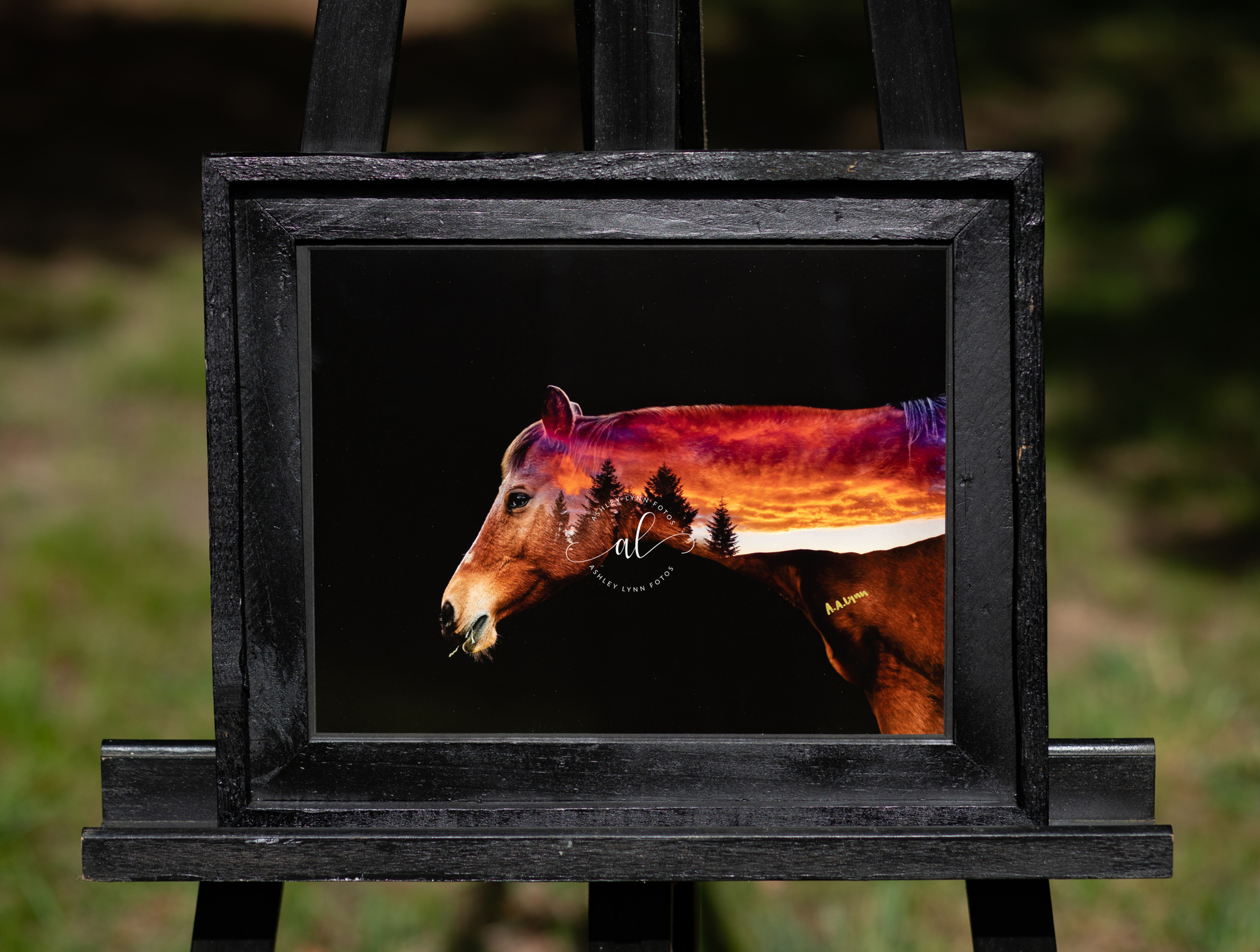 Midnight Harriet (framed)