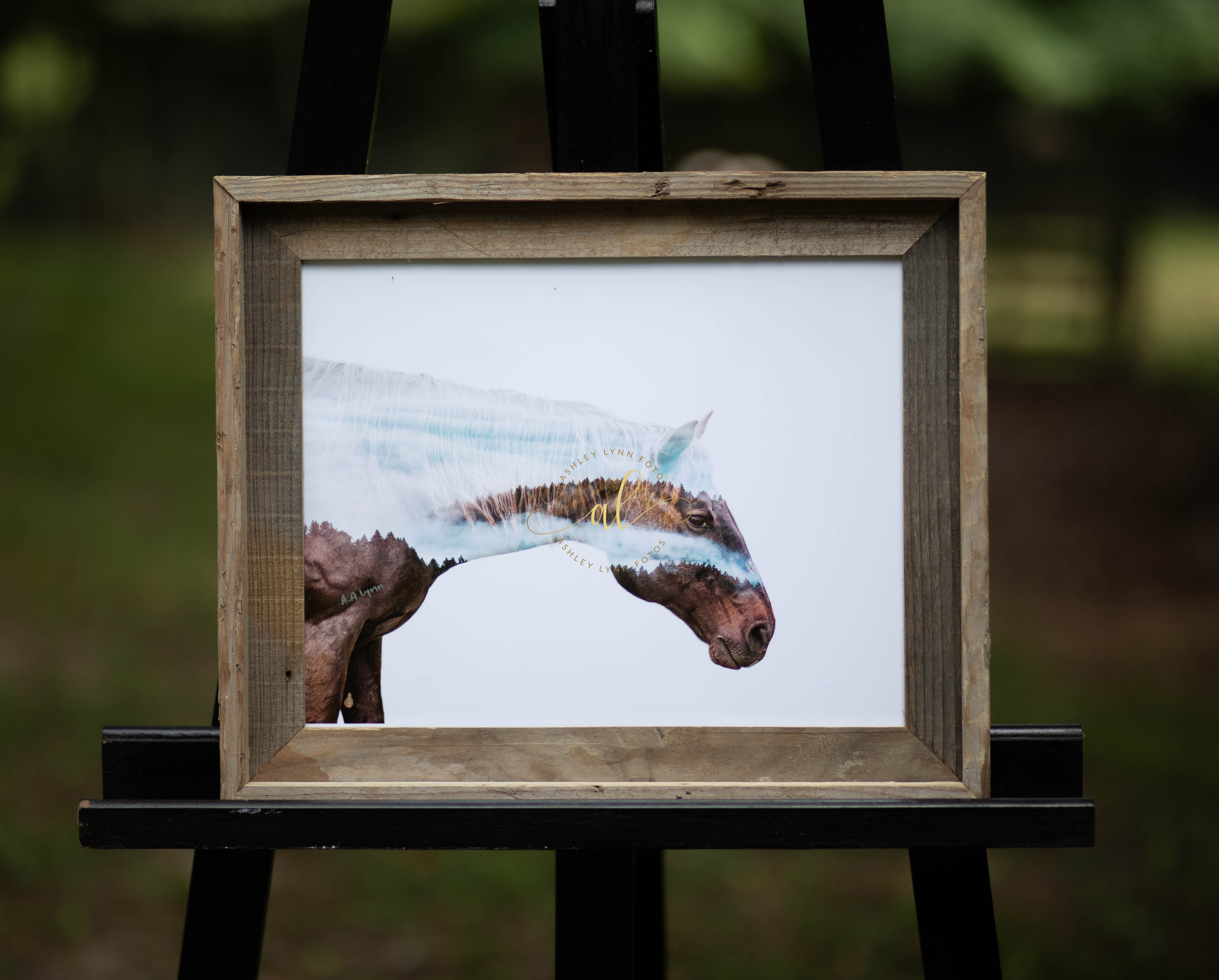 Legend (11x14 framed)