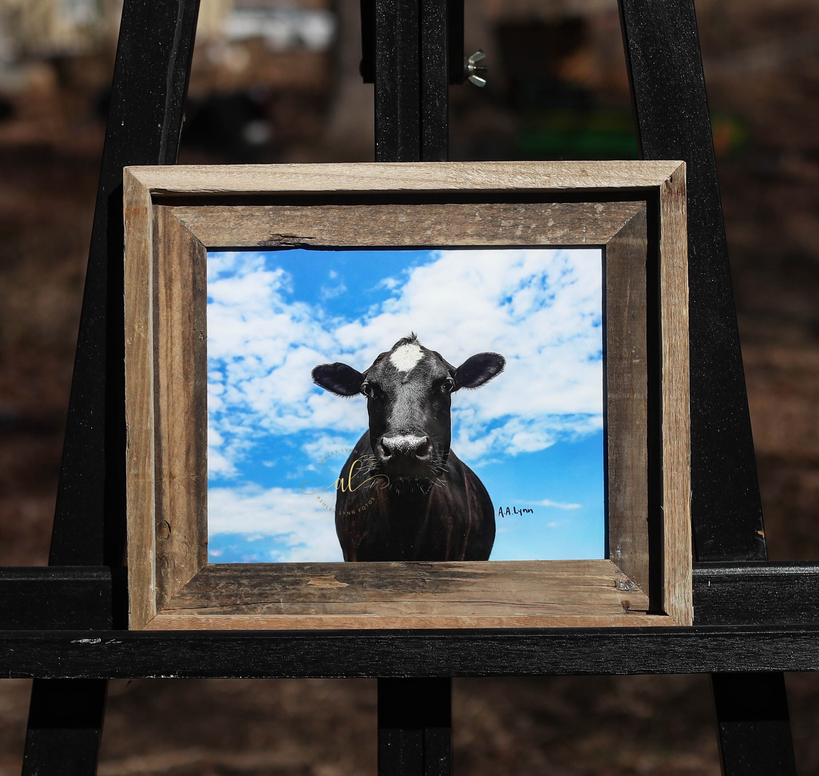 Lakshmi has her head in the clouds (8x10 framed)