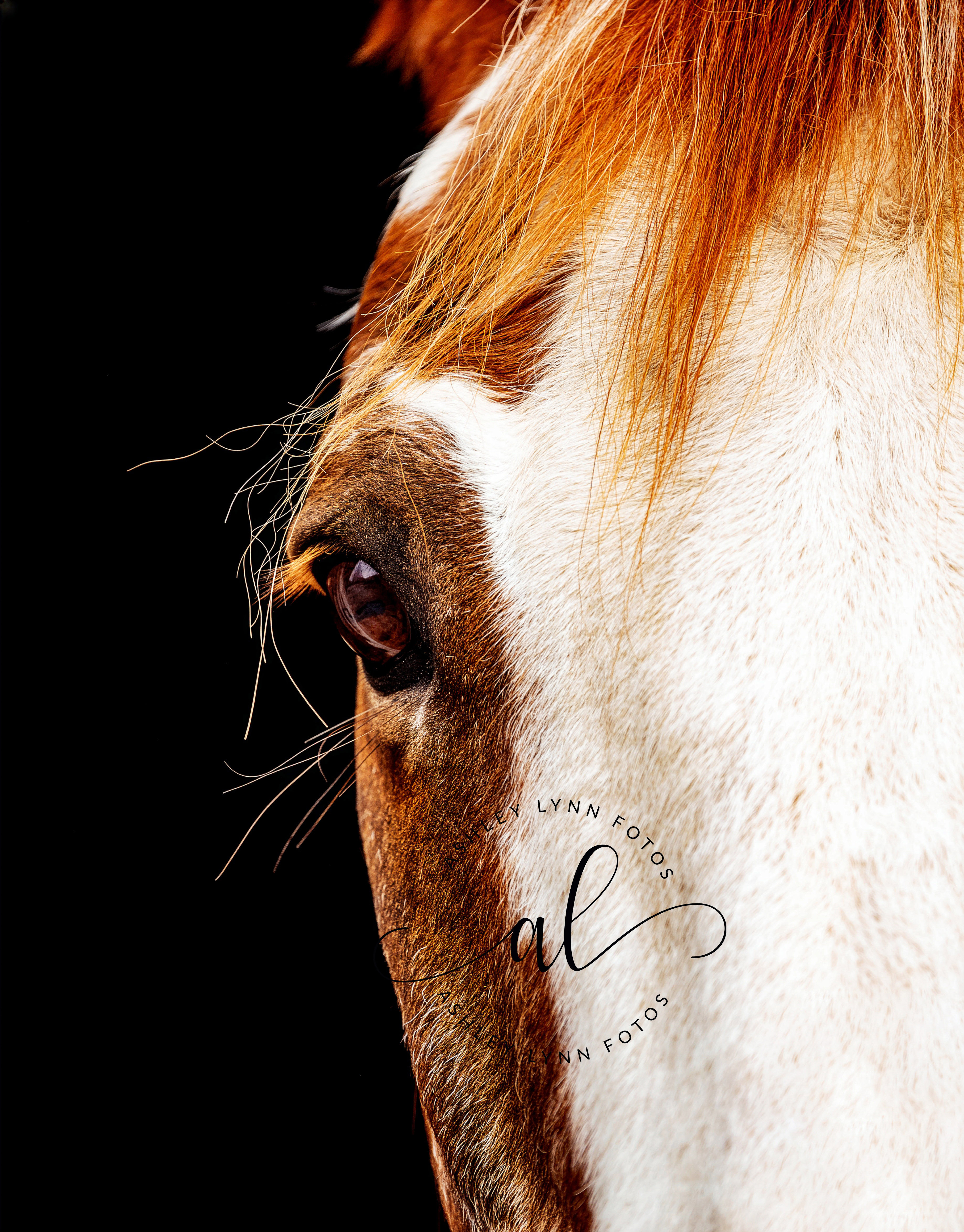 The Pasture Print Club