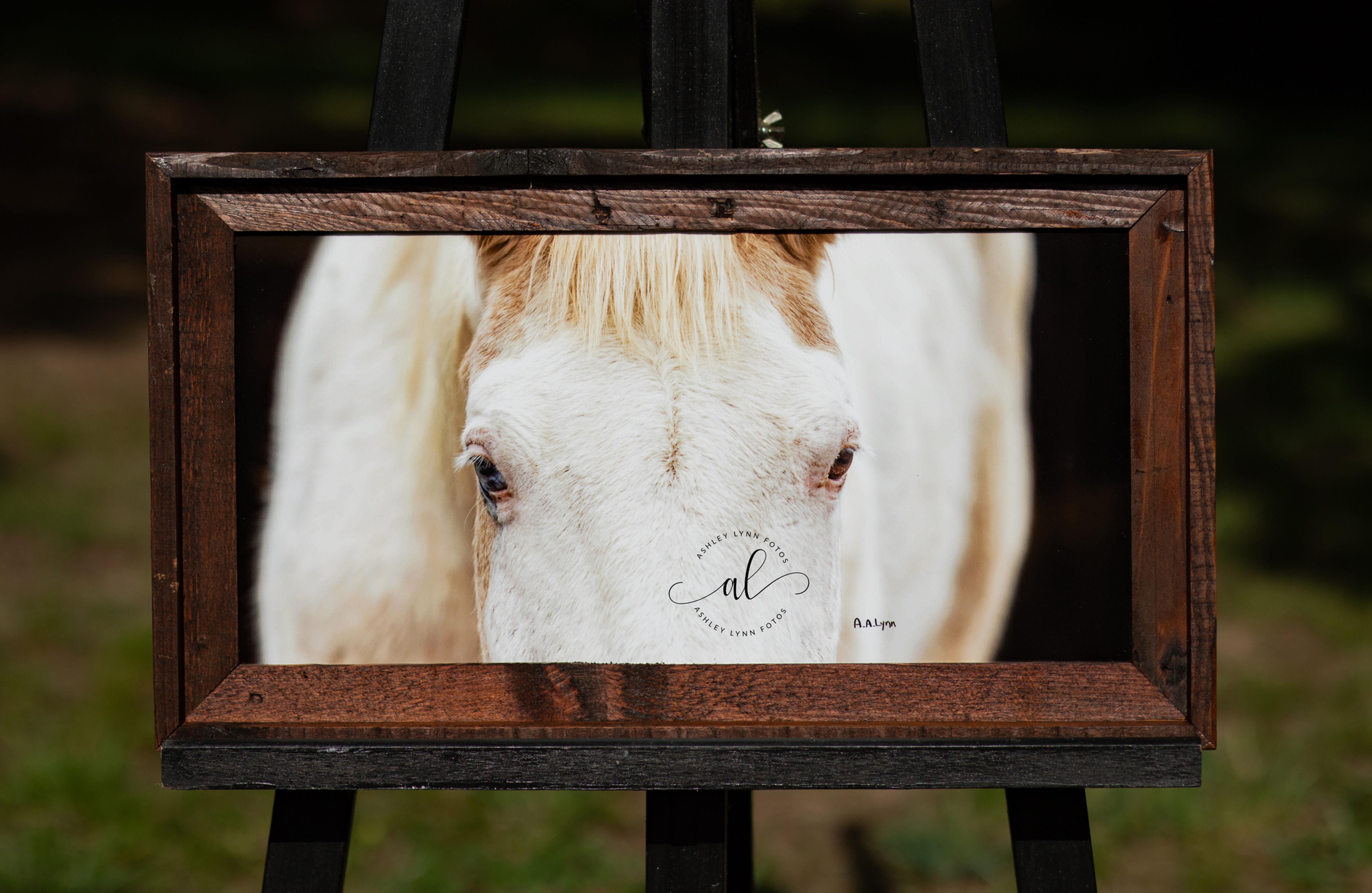 Christopher's Soul (framed)