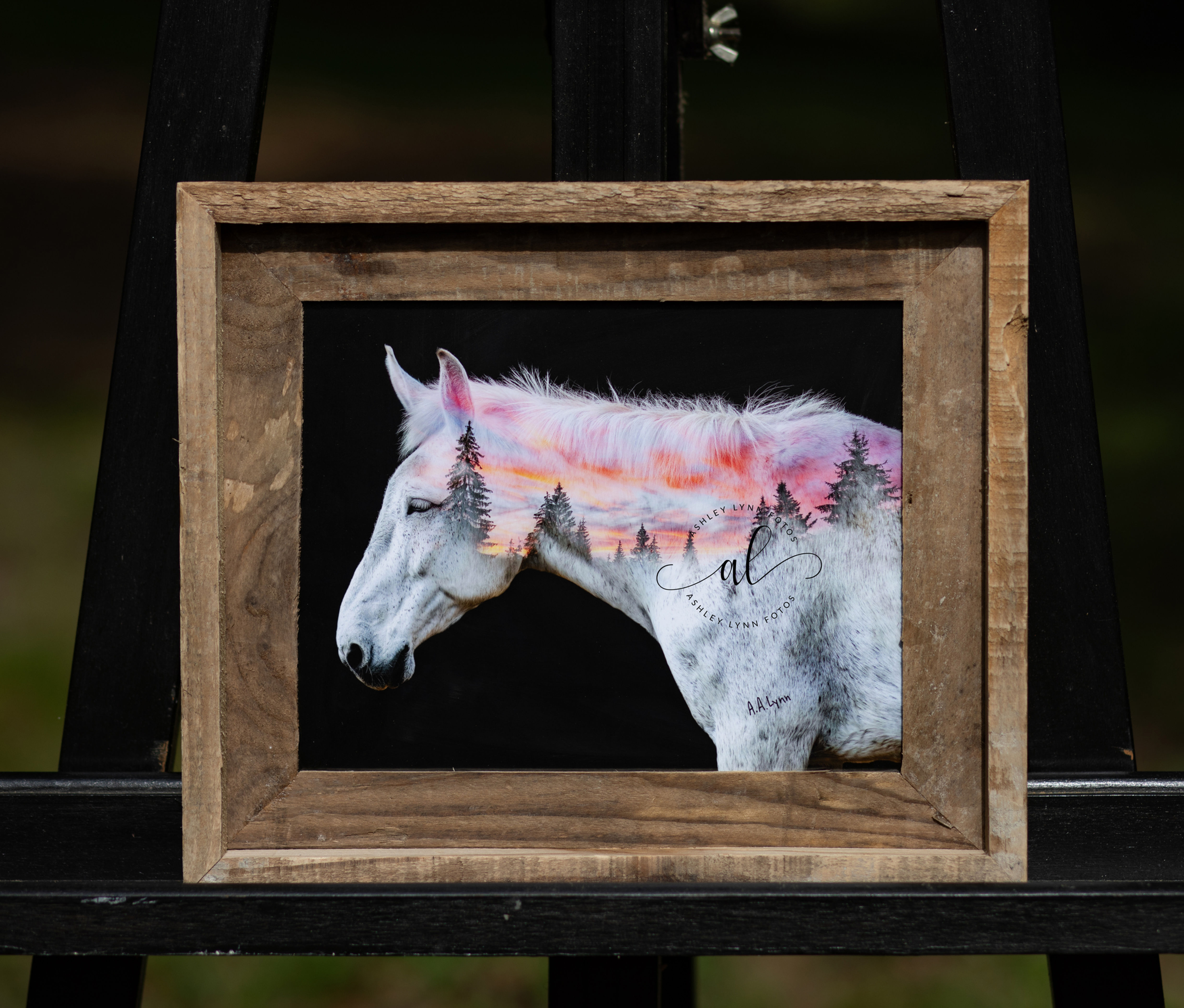 Midnight Moe (8x10 framed)