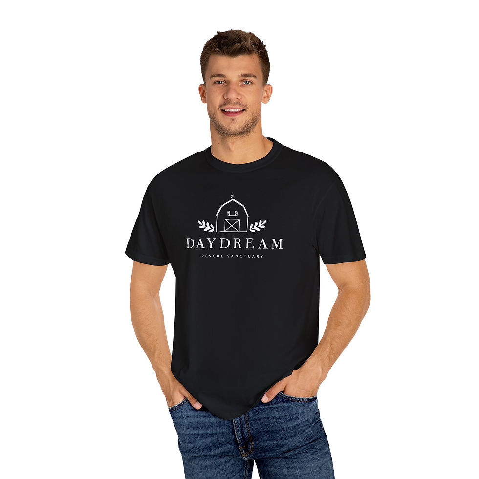 Thumbnail: Daydream Rescue Sanctuary Unisex T-shirt