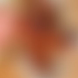 Spiedini di cipolline