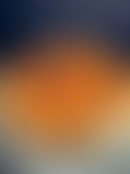 Crostata alla crème brulée