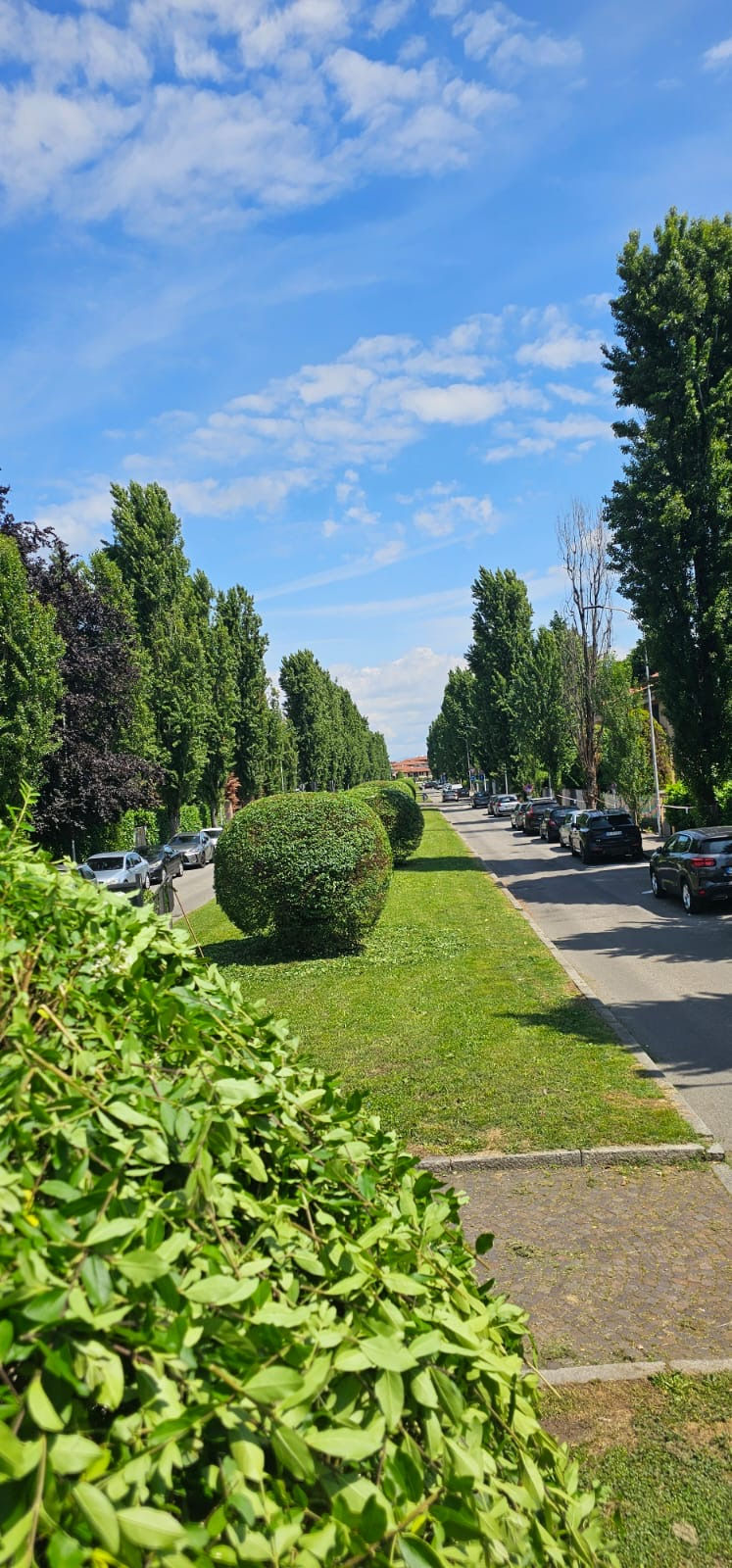 Manutenzione ordinaria di aree a verde pubbliche e private