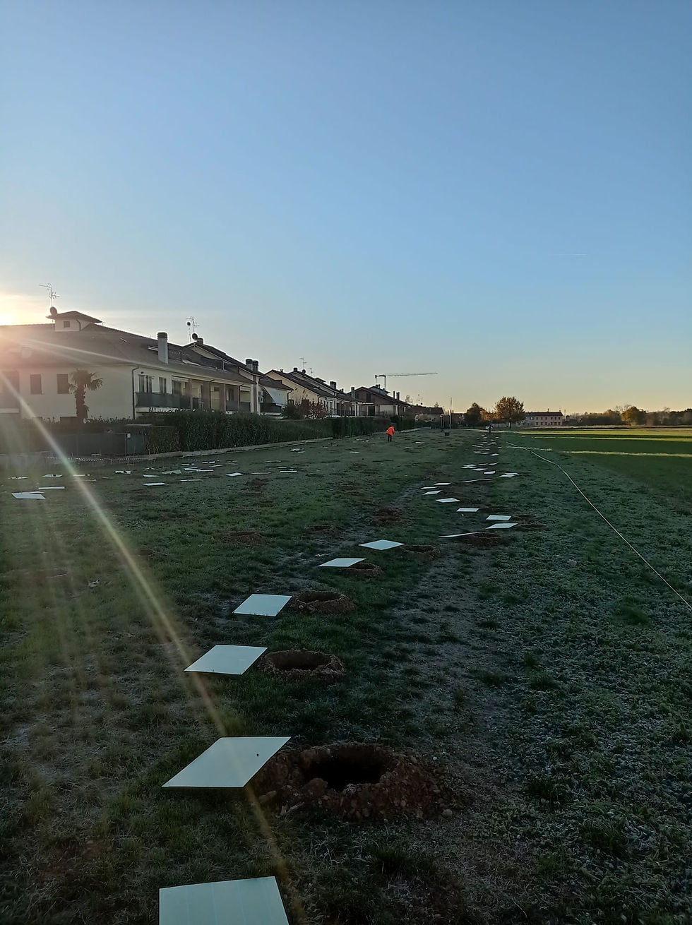 Progettazione e Realizzazioni Impianti Forestali