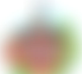 Woops! School board meeting dates changed