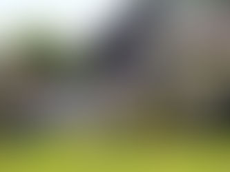 Fire: Heavy damage to Reedsville home