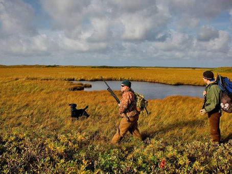 Duck season: ‘Hunter want a quacker?’