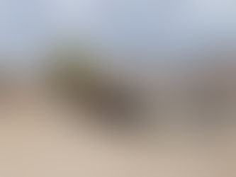 Brillion City Center on pace for December (with photo gallery)