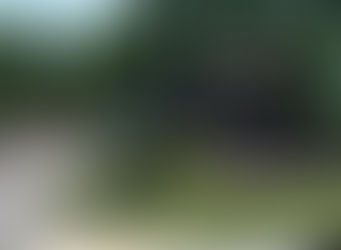 Special meeting: Town has concerns with Way Morr Park