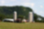 New US-Mex-Canada trade deal helps dairy farmers