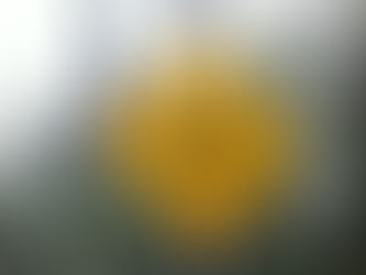 West Nile infects human in Brown County