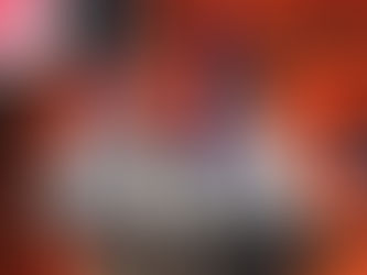 Ariens celebrates 4 millionth Sno-Thro