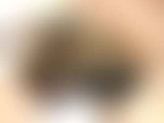 Bat in Calumet County had rabies