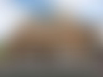 Clarification: Thiel seeks buy-in from village